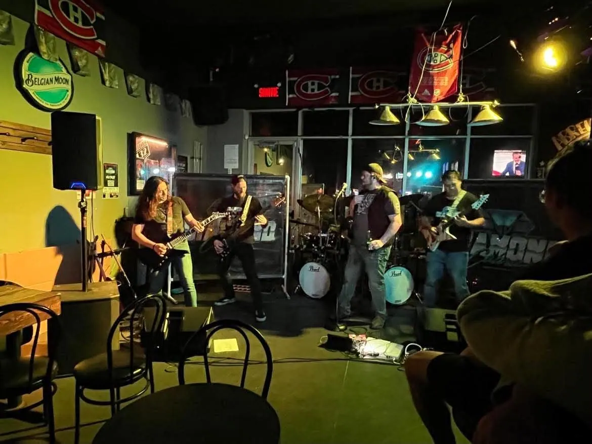 Diamond Cobra performing live in 2026